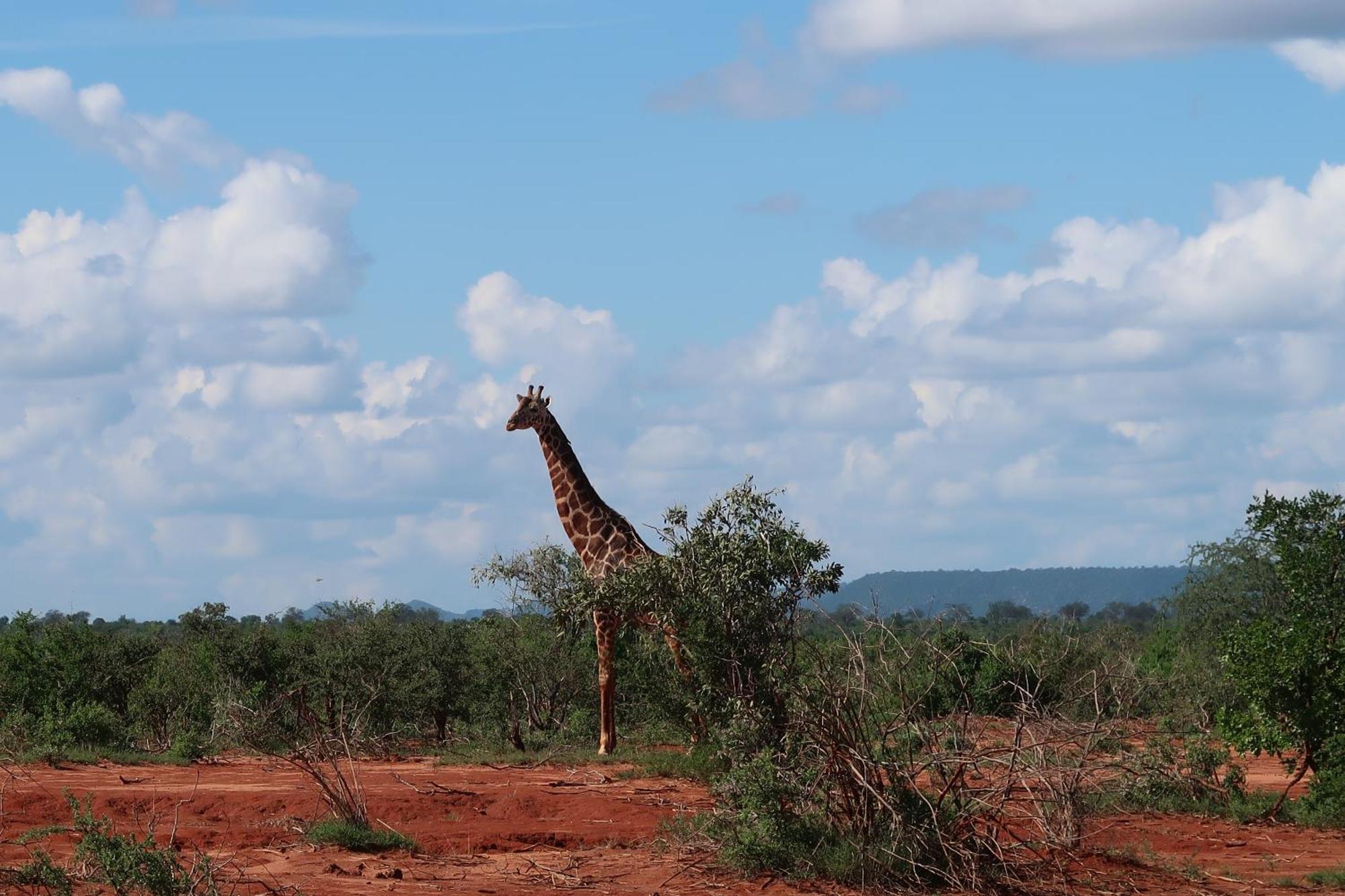 Tausa Tsavo Eco Lodge Voi Екстериор снимка
